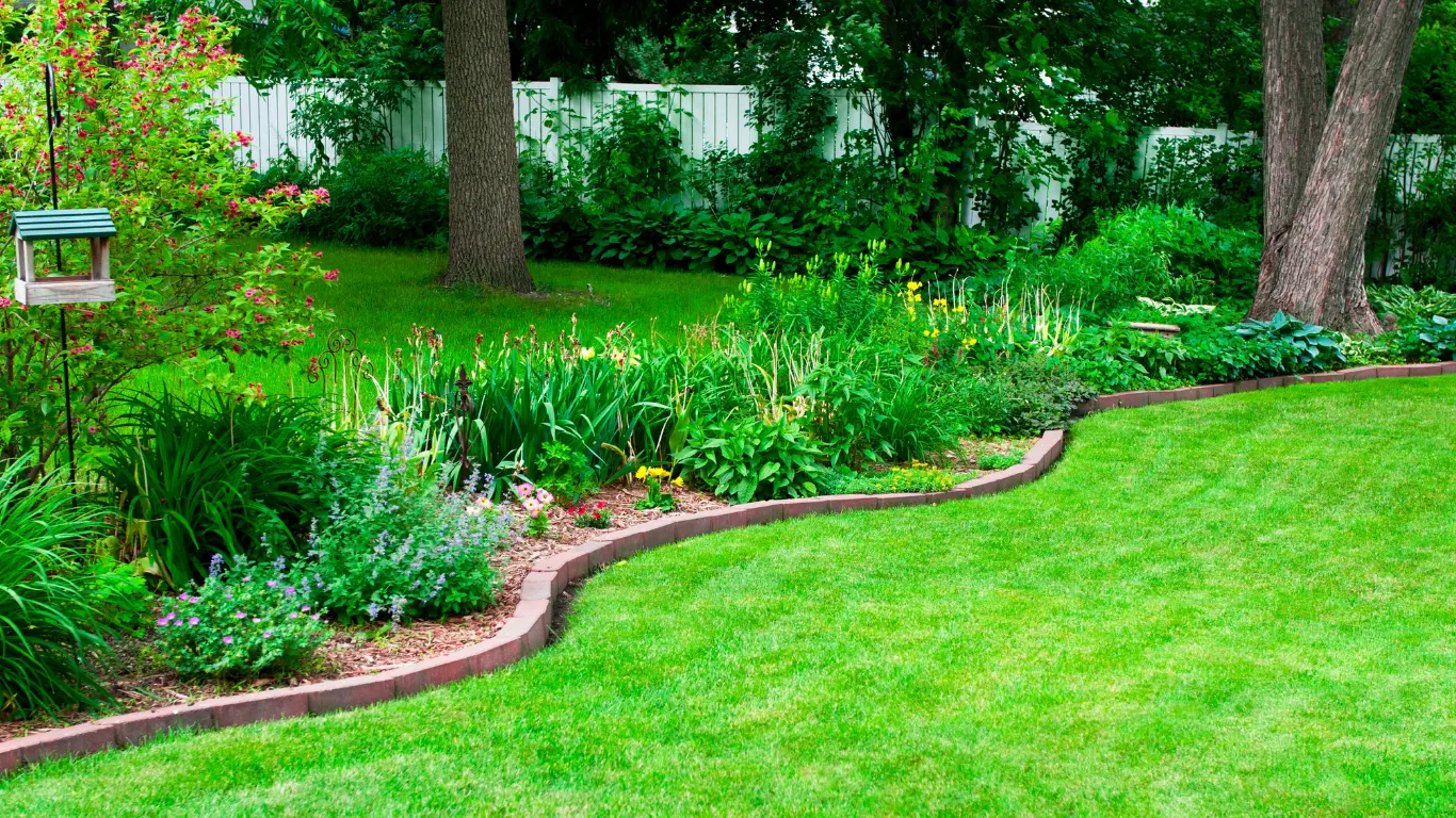 Bordered Garden Beds