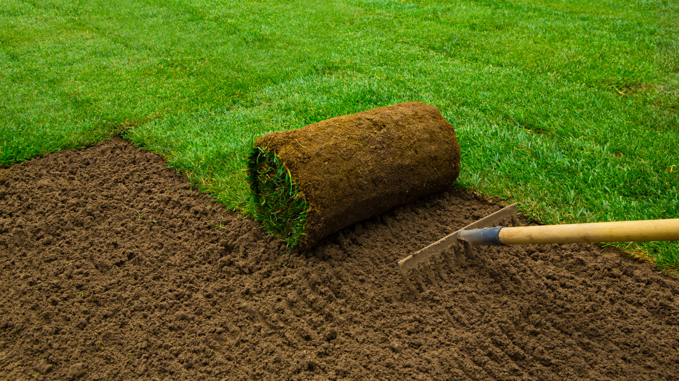 Bare soil → fresh sod installation — before