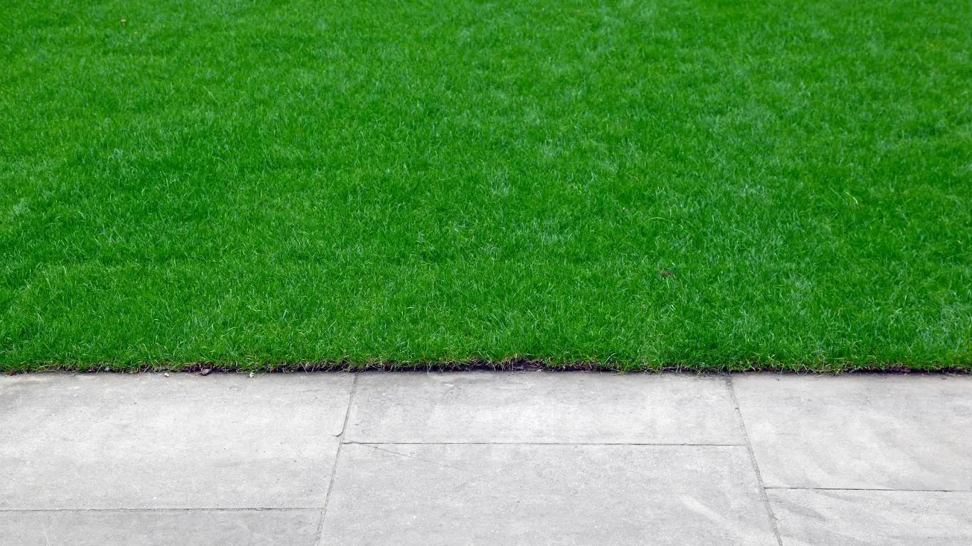Crisp Lawn Edge Along Walkway