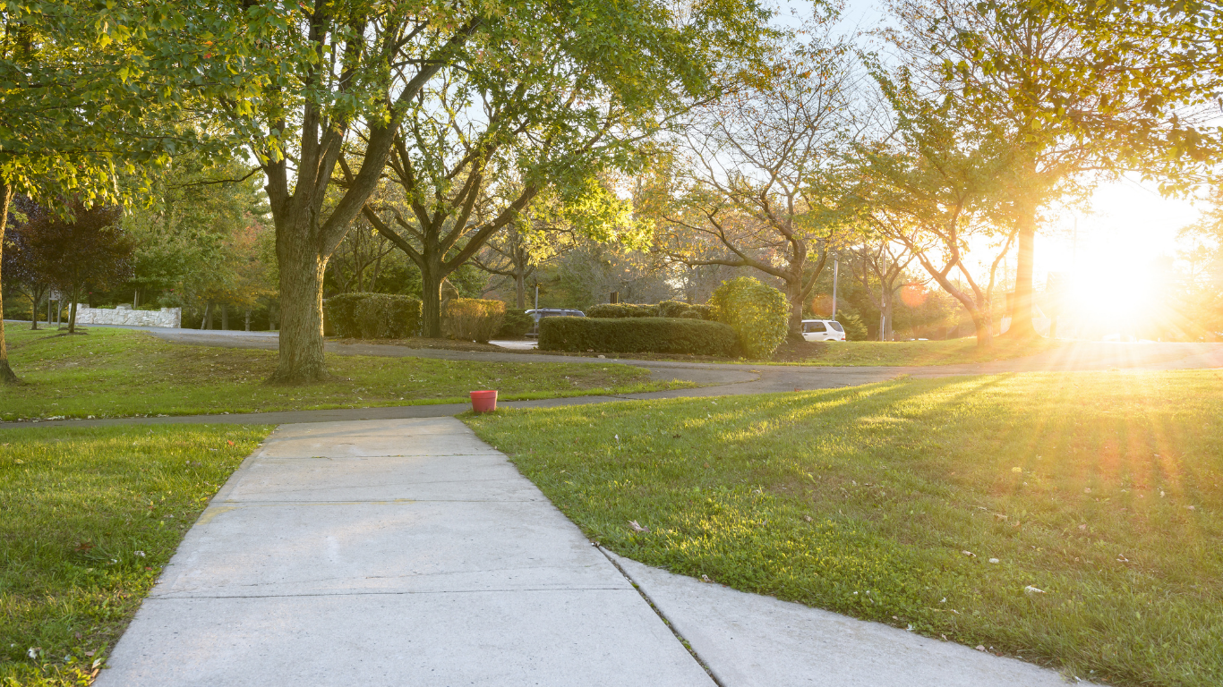 Seasonal Property Clean-Up
