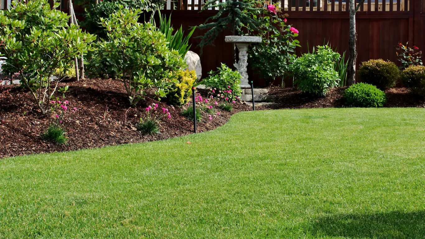 Finished backyard with immaculate lawn and crisp bark bed edges
