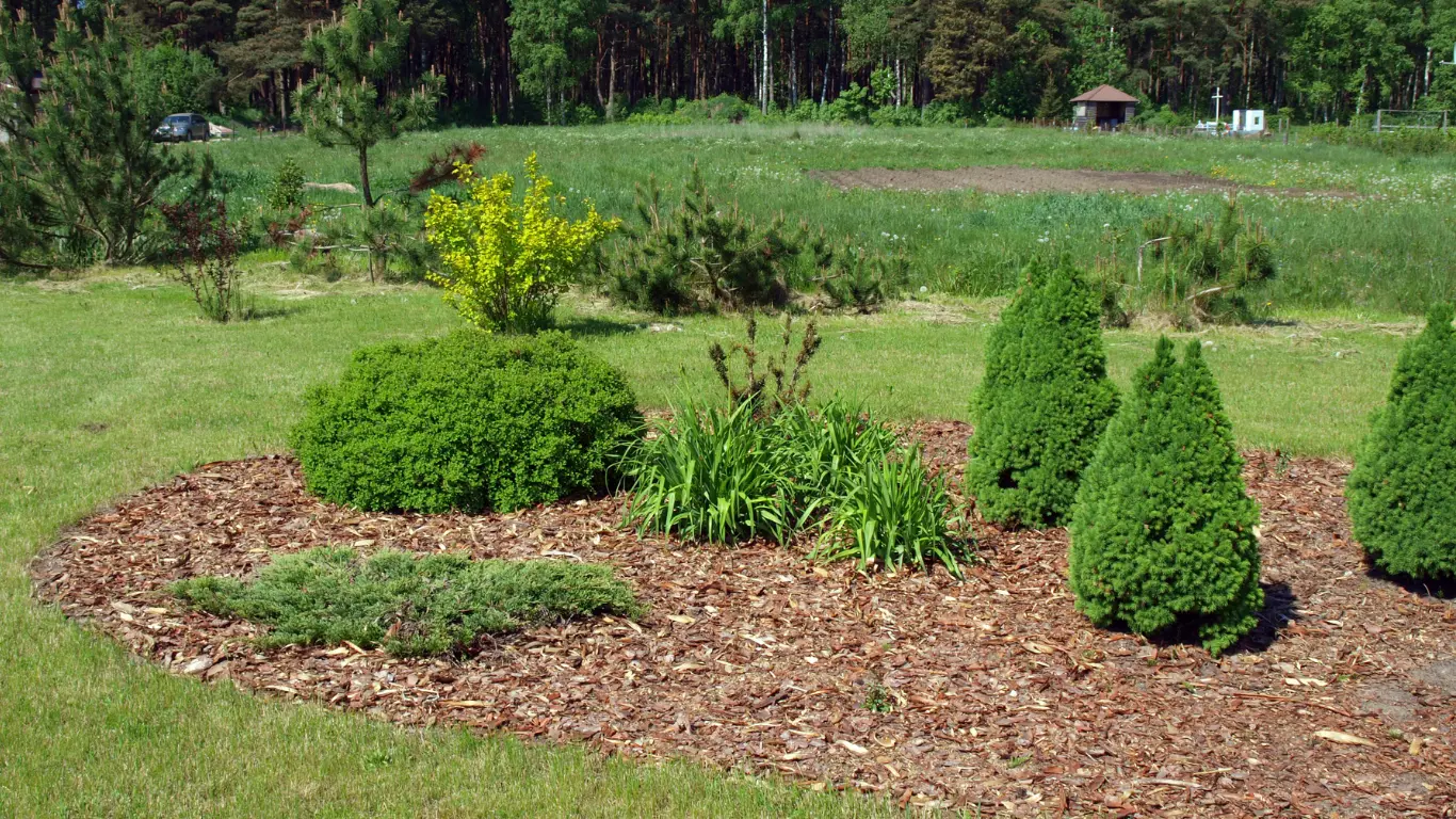 Bark Island & Shrub Planting