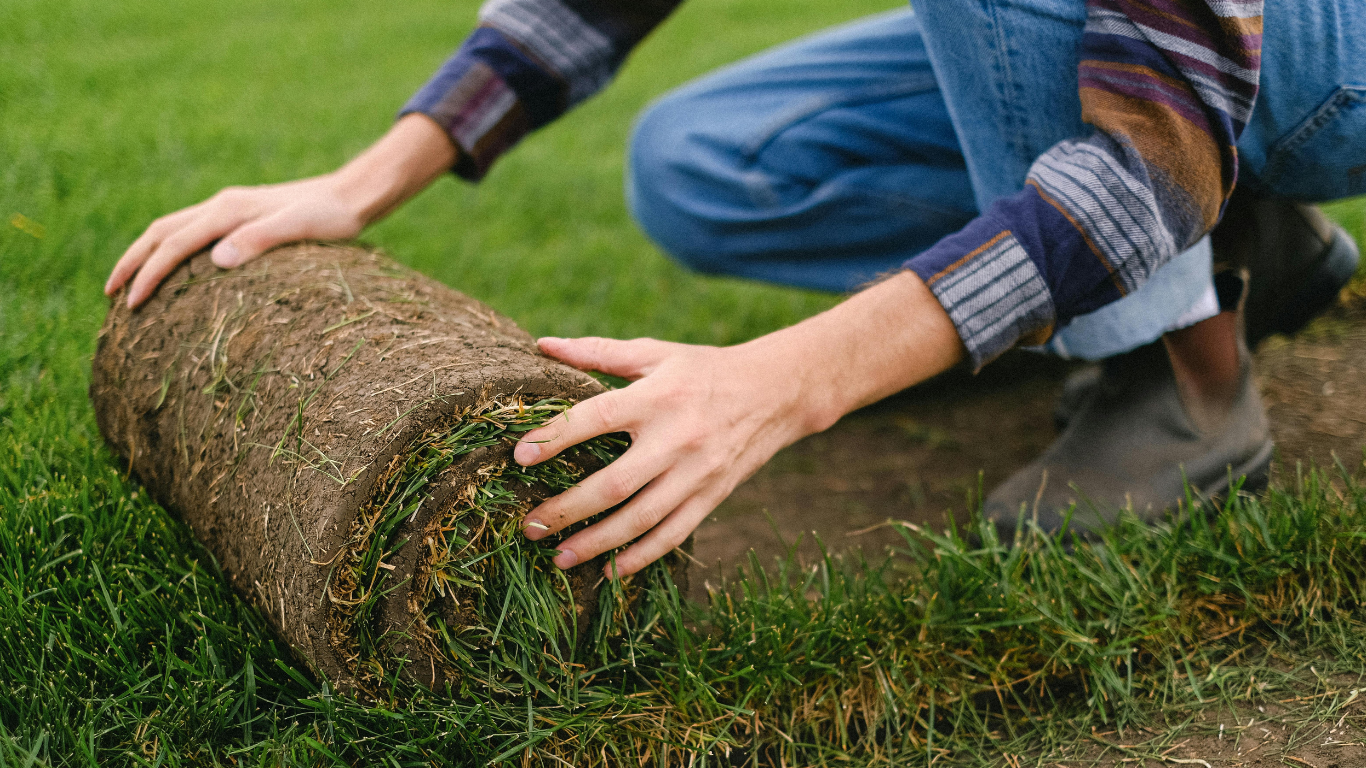 Hand-Laid Sod Rolls