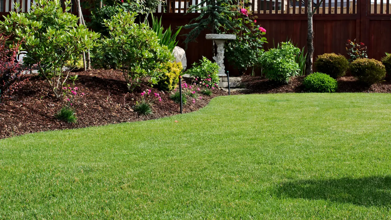 Completed lawn and landscaping at golden hour